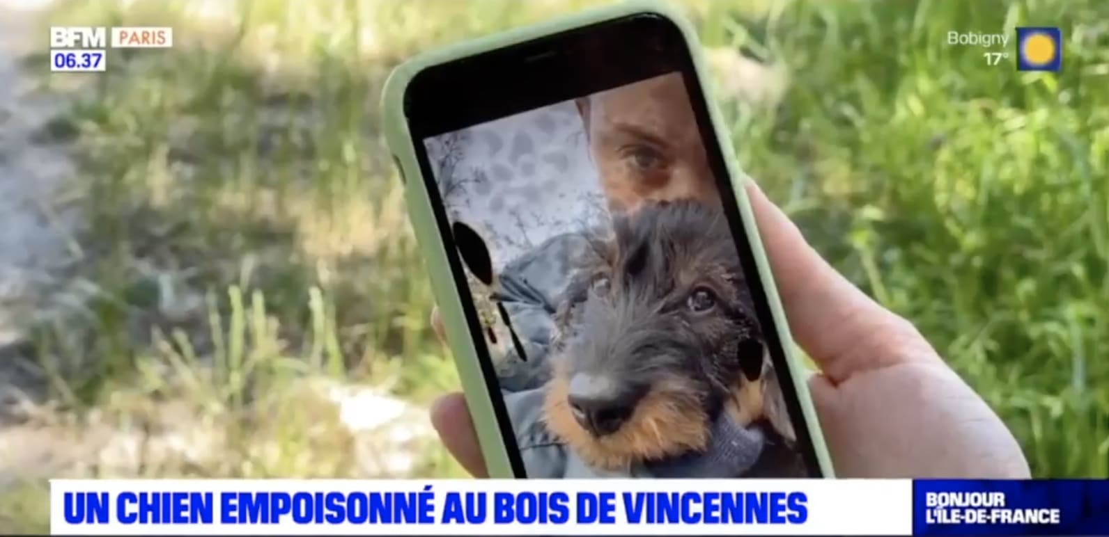 Drame à Vincennes : Un chiot innocent victime d'empoisonnement deliberé