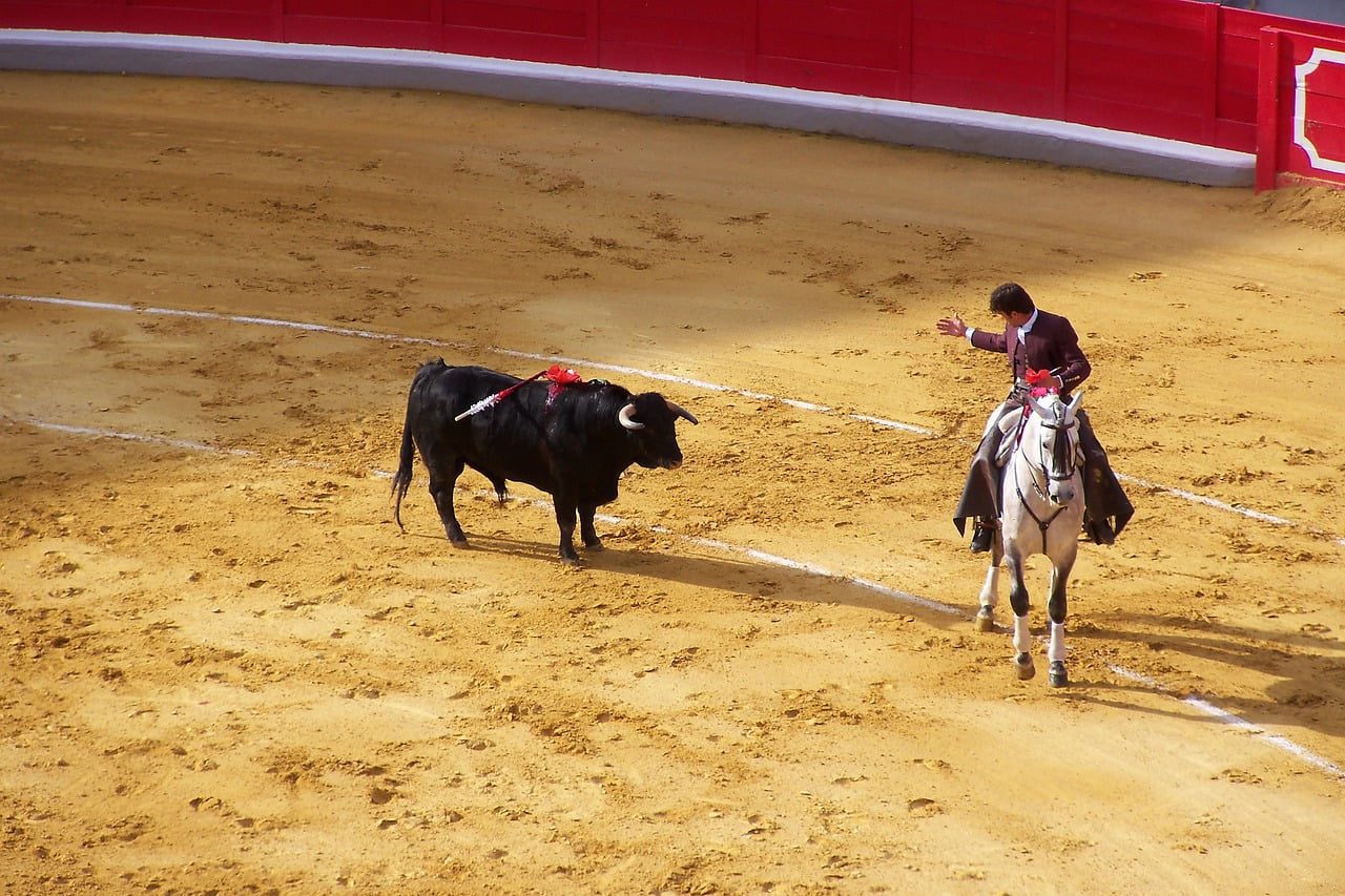 Changements dans le paysage culturel : l'Espagne se distance de la tauromachie