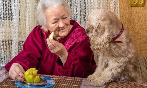 For the reception of patients WITH their pets in EHPAD and retirement homes