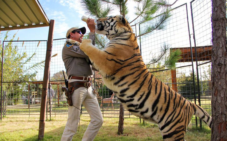 Tiger King" Zoo permanently closed
