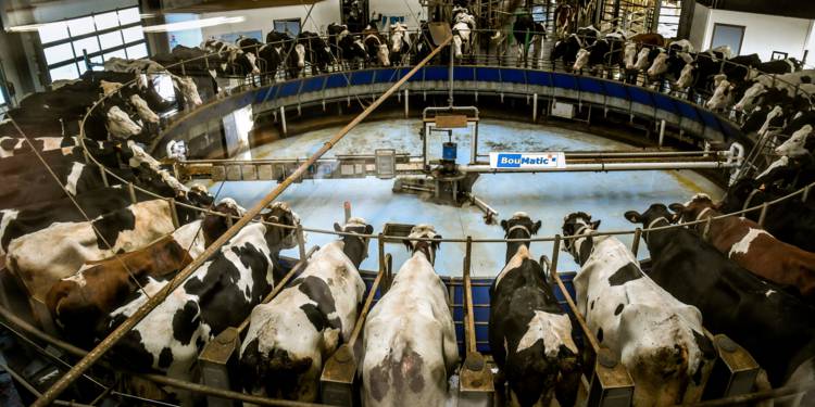 La ferme des mille vaches près d'Abbeville ne produira plus de lait à partir du 1er janvier 2021