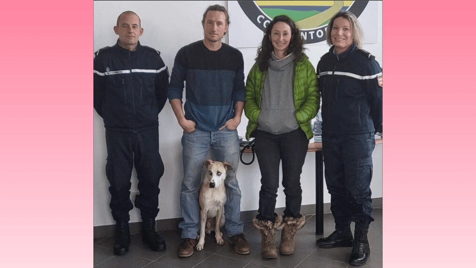 Mont-Saint-Michel : les gendarmes secourent un chien gravement blessé