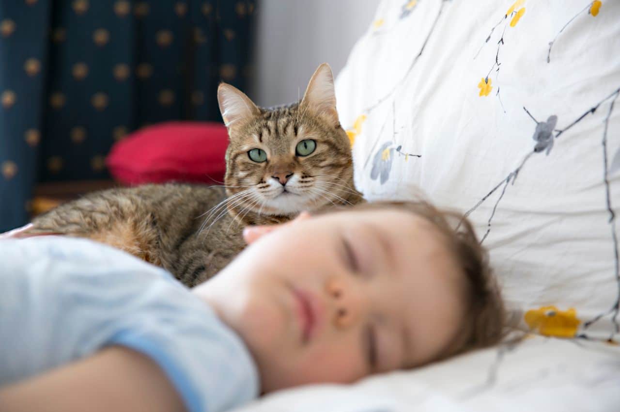 Le mythe de l'étouffement du chat : pourquoi il est faux et pourquoi vous pouvez laisser votre bébé en sécurité avec votre chat