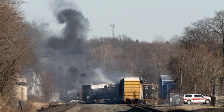 Plus de 40 000 animaux seraient morts après le déraillement d'un train en Ohio, aux États-Unis