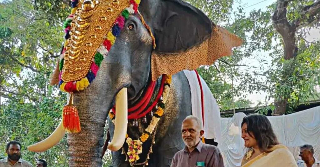 Éléphants robotiques pour les rituels hindous : une avancée symbolique et éthique en Inde