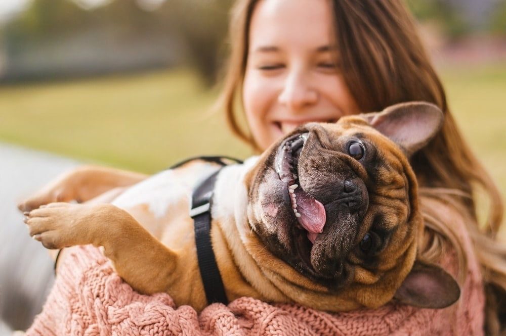 Surmonter l'adolescence du chien : conseils pour relever les défis et renforcer votre relation